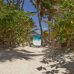 Dos Ceibas - Massage & Yoga Inclusive Hotel Tulum