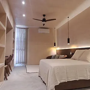 Mid-498 Centro Apartment Merida